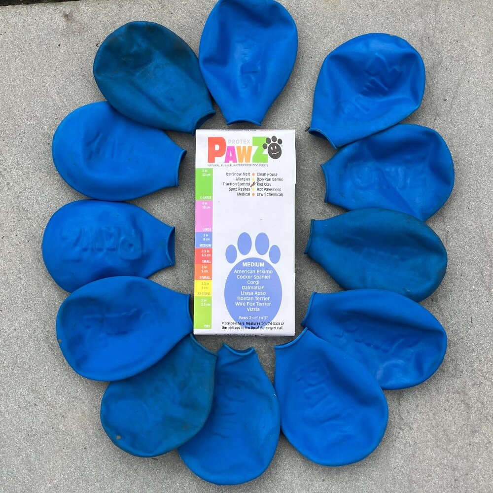 🐾 Pawz Waterproof Rubber Dog Boots - Medium (Blue) - Set of 12